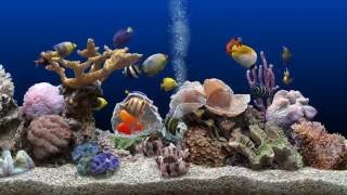 ★ Marine Aquarium ★ UHD Screensaver ★ Blue Ocean ★ 60fps ★ [upl. by Thaddaus]