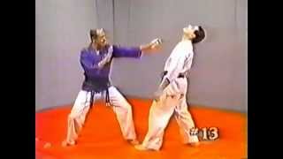 Hapkido 1 Basic Techniques [upl. by Shermie]