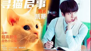 Sehun “CATMAN” Official Movie Trailer Sub español [upl. by Regine]