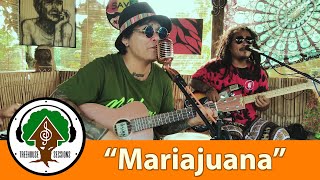 Mariajuana  by Bagani  Treehouse Sessions [upl. by Faxon]