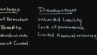 How a Sole Proprietorship Works  Introduction to Legal Structures [upl. by Sedicla]