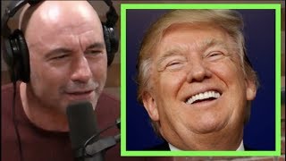 Joe Rogan  Why Donald Trump is Untouchable [upl. by Yur62]