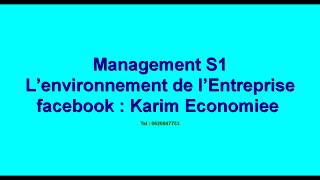 Management S1 quot L’environnement de l’Entreprise quot [upl. by Rudd331]