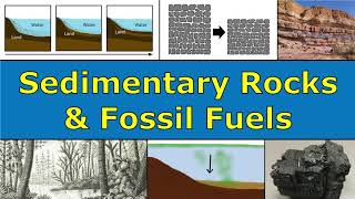 Sedimentary Rocks amp Fossil Fuels Overview [upl. by Patsy266]