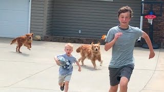 Drive by Dunk Challenge Chased by dogs  Thats Amazing [upl. by Lleroj]