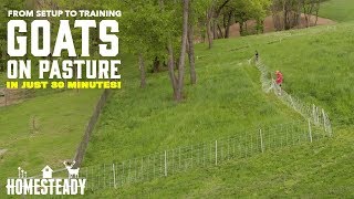 HOW TO SETUP ELECTRIC FENCE FOR GOATS AND TRAIN THEM TO IT IN 30 MIN [upl. by Katuscha254]