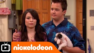 iCarly  Ham Over Everything  Nickelodeon UK [upl. by Dayir641]