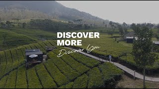 Discover More Discover You [upl. by Acinnad]