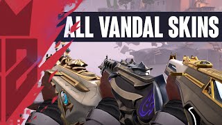 ALL VANDAL SKINS  ANIMATIONS  VALORANT VANDAL SKINS [upl. by Aynos]