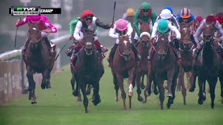 RACE REPLAY 2015 Prix de lArc de Triomphe featuring Golden Horn and Treve [upl. by Besse]