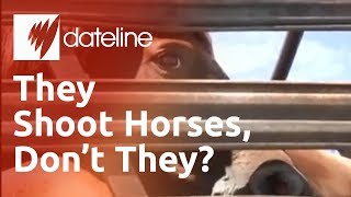 Americas unwanted horses being purchased for slaughter [upl. by Wallach]