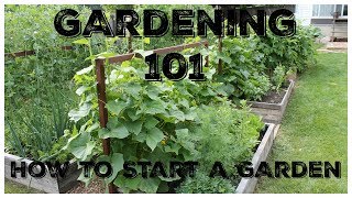 Gardening 101 How To Start A Garden [upl. by Yetta]