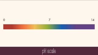 Hydrogen Ions and Acidity [upl. by Soraya]