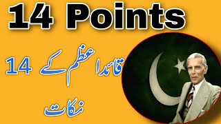 14 points of QuaidEAzam 1929  Muhammad Ali Jinnahs 14 Points  IndoPak History  Urdu amp Hindi [upl. by Oirad]