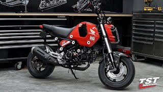 AllNew 2022 Honda Grom First Impressions [upl. by Ekihc529]