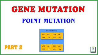 Gene mutation  Point mutation  Part 2 [upl. by Melodie289]