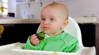 Babyled weaning basics [upl. by Fantasia859]