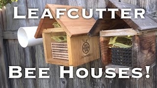 Setting up Leafcutter Bee Houses [upl. by Ardehs]