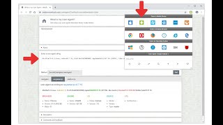 UserAgent Switcher  Browser Extension Review [upl. by Rock531]