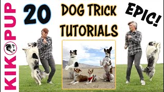 DOG TRICKS  20 Trick Tutorials [upl. by Uamak]