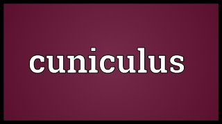 Cuniculus Meaning [upl. by Johnsten]