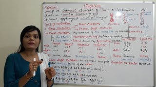 Class 29  Mutation Part 01  Introduction to Mutation and Types  Point amp Frameshift Mutation [upl. by Pepin164]