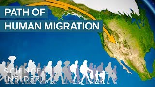 Map Shows How Humans Migrated Across The Globe [upl. by Gleason499]