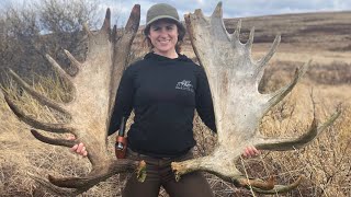 Finding Moose Antlers in Alaska  Shed Hunting [upl. by Cirdek264]