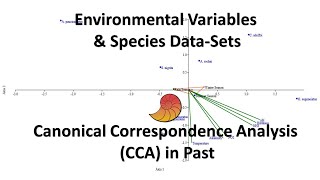 Canonical Correspondence Analysis CCA Past Statistical Software  Biostatistics  Statistics Bio7 [upl. by Adelina]