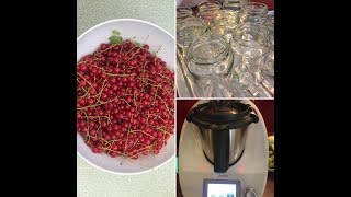 Vom Strauch ins Glas  Johannisbeermarmelade  Thermomix [upl. by Specht]