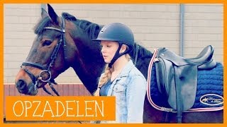 Paard opzadelen  PaardenpraatTV [upl. by Olympe]