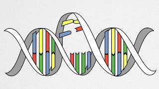 How UV Causes Cancer and Aging [upl. by Poland]