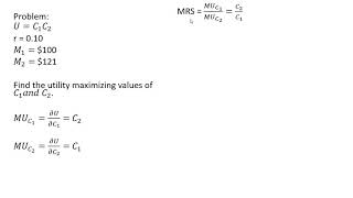 Intertemporal Choice Utility Maximization Over Two Time Periods [upl. by Haleeuqa]