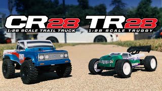 Team Associated TR28 and CR28 [upl. by Sibilla]