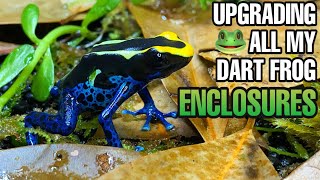 Upgrading ALL of my Poison Dart Frog Vivariums  Exo Terra Frogs amp Co [upl. by Cahilly763]