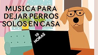 🐶🏠❤Música para DEJAR PERROS SOLOS EN CASA  10 HORAS🐶🏠❤ [upl. by Fabi]