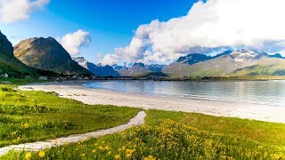 Uplifting Music  light positive happy music Gullrosøya  1 hour [upl. by Pimbley595]