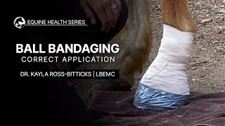 How to Bandage Your Horses Foot [upl. by Hulbard797]