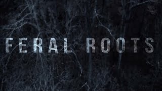 Rival Sons  Feral Roots Official Visualizer [upl. by Trillbee]