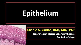 Epithelium [upl. by Terese]