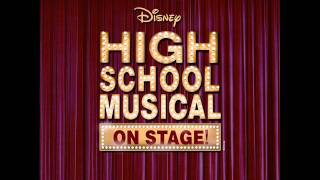 Bop to the Top INSTRUMENTAL  Stage Song High School Musical [upl. by Nhepets]