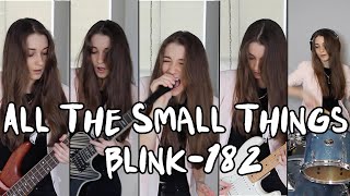 quotAll The Small Thingsquot  blink182 Cassidy Mackenzie Cover [upl. by Arahsit13]