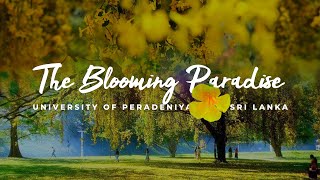 University Of Peradeniya Flower Season  The Blooming Paradise [upl. by Tonl]