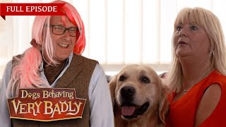 Dogs Behaving Very Badly  Series 2 Episode 3  Full Episode [upl. by Stempien]