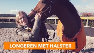 Longeren met halster  PaardenpraatTV [upl. by Raphaela]