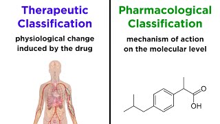 Categorizing Drugs Classes Names and Schedules [upl. by Enellek]