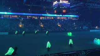 Icelandic horses and dancers Hingstekåring Herning 2023 [upl. by Akcirret804]