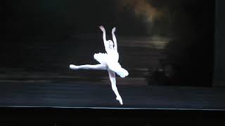 Dorothée Gilbert  Odettes solo Act II  Swan LakeLe Lac des cygnes Choreography  Noureev [upl. by Allis]