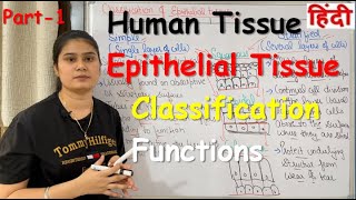 Tissue in Hindi  Epithelial Tissue  Functions  Classification  Part1 [upl. by Lanae]