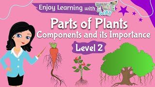 Parts of Plants amp Functions  Science  TutWay [upl. by Aerdnua614]